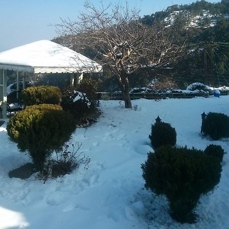 The Swiss Village Resort 奈尼塔尔 外观 照片