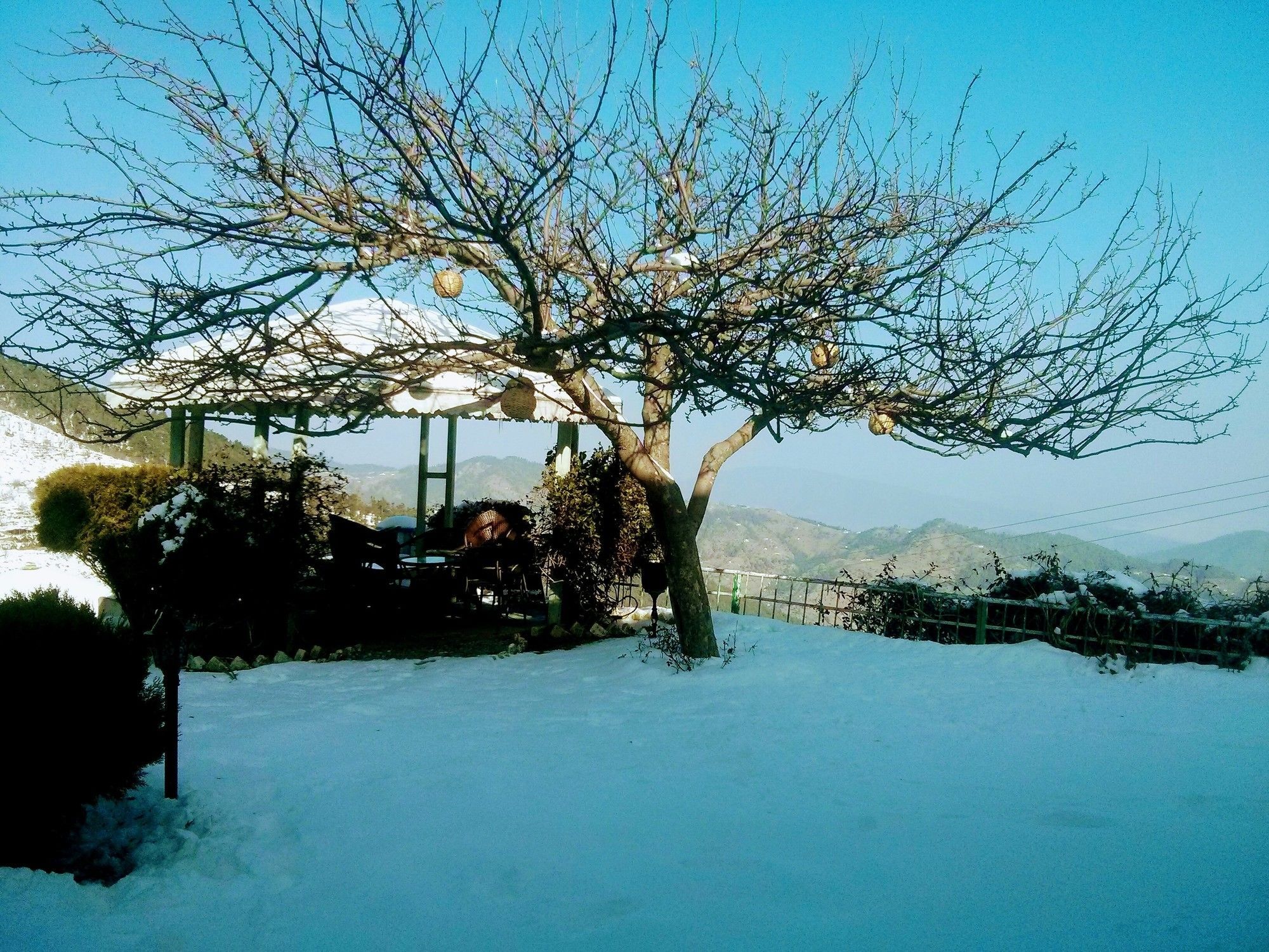 The Swiss Village Resort 奈尼塔尔 外观 照片