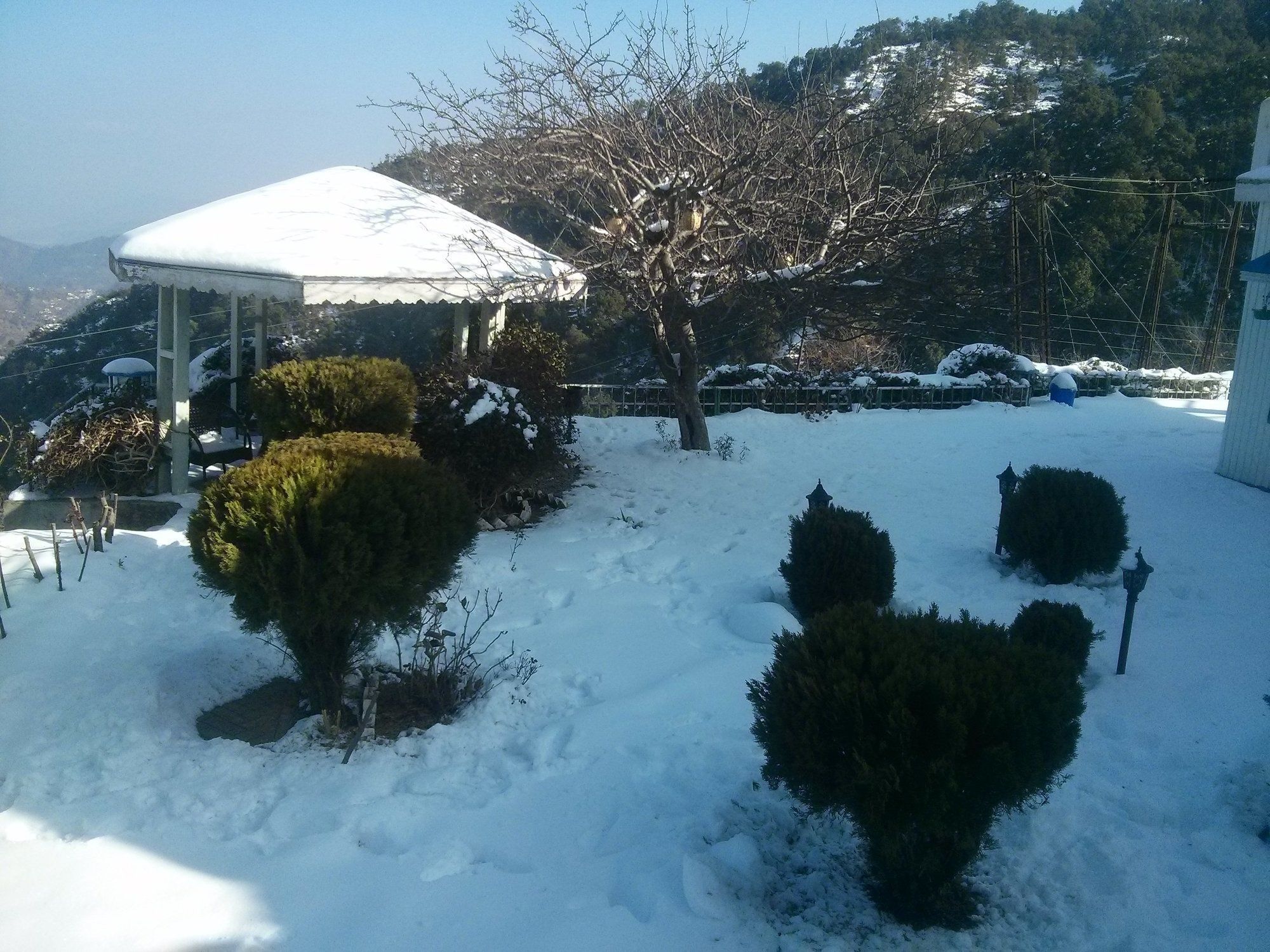 The Swiss Village Resort 奈尼塔尔 外观 照片